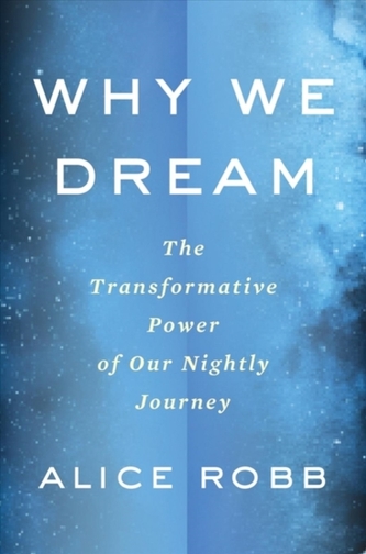 WHY WE DREAM THE TRANSFORMATIVE POWER OF