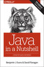 Java in a Nutshell 7e