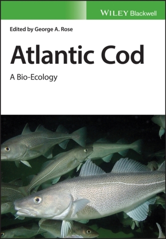 Atlantic Cod