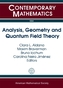 Analysis, Geometry and Quantum Field Theory