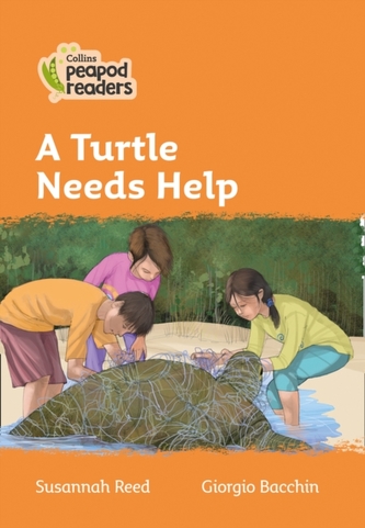 Level 4 - A Turtle Needs Help
