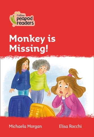 Level 5 - Monkey is Missing!