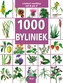 1000 Byliniek