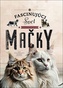 Mačky