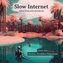Slow Internet