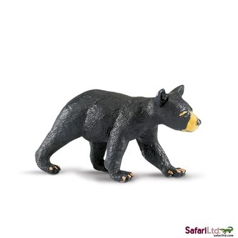 Mládě medvěda baribala