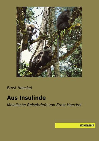 Aus Insulinde