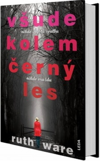 Všude kolem černý les