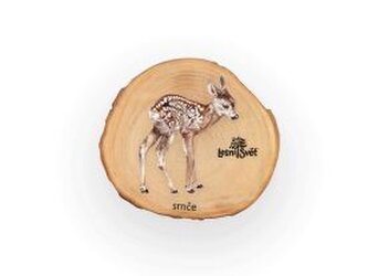 Magnet Letokruh srnče