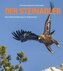 Der Steinadler