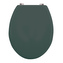 MSV WC prkénko CLEO, tmavě zelené, MDF