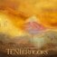 LP Silversun Pickups: Tenterhooks