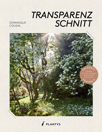 Transparenzschnitt
