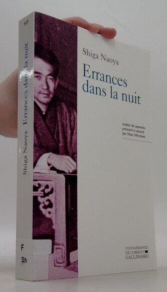 Errances dans la nuit