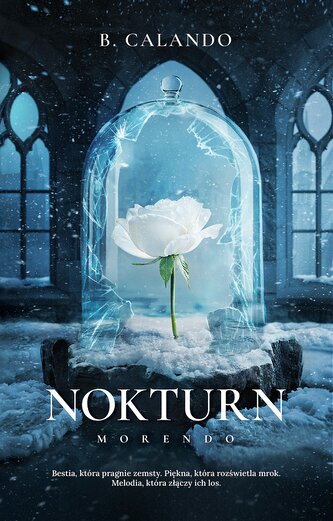 Nokturn
