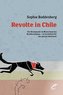 Revolte in Chile