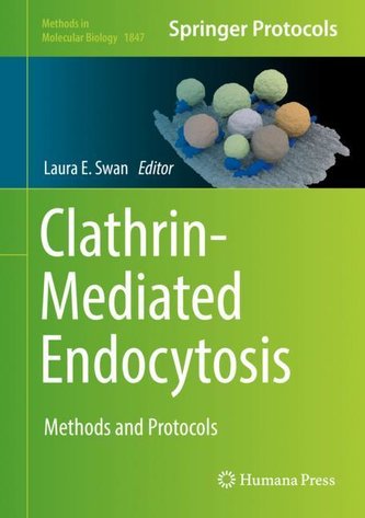 Clathrin-Mediated Endocytosis