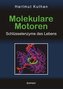 Molekulare Motoren