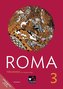 ROMA B Training 3 mit Lernsoftware