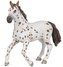 Klisna Appaloosa