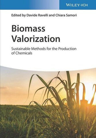 Biomass Valorization