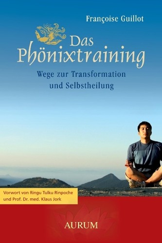 Das Phönixtraining