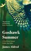 Goshawk Summer
