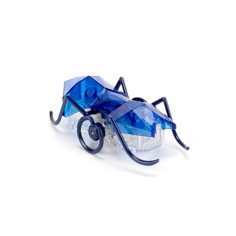 HEXBUG Micro Ant - modrý