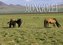 Die Mongolei - Ein Bildband