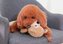 Reedog Monkey
