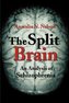 The Split Brain