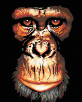 Malování podle čísel - ŠIMPANZ - 80x100 cm, vypnuté plátno na rám