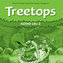 Treetops 2: Class Audio CDs (2)