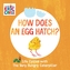 How Does an Egg Hatch?
