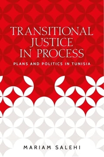 Transitional Justice in Process