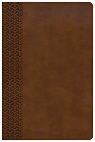 CSB EVERYDAY STUDY BIBLE BROWN