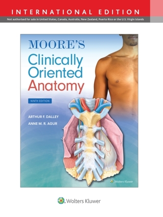 Moore's Clinically Oriented Anatomy