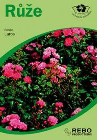 Růže
