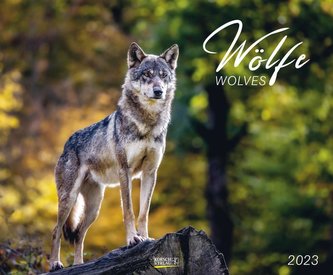 Wölfe 2023