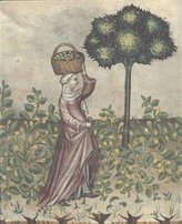 Zahrada slov. Ad honorem Zuzana Silagiová