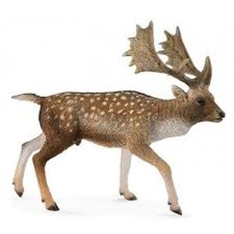 COLLECTA Daněk evropský