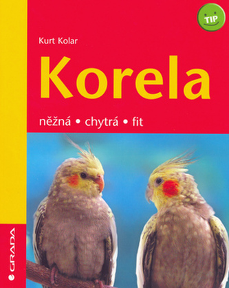 Korela