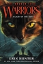 Warriors: The Broken Code #6: A Light in the Mist