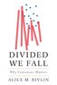 Divided We Fall: Why Consensus Matters