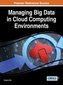 Managing Big Data in Cloud Computing Environments