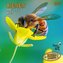 Bienen 2024