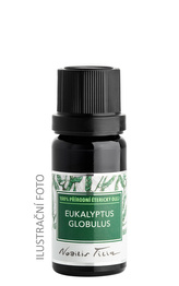 Éterický olej Eukalyptus globulus: 50 ml
