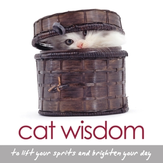 Cat Wisdom