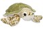 Želva 20 cm