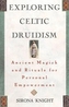 Exploring Celtic Druidism